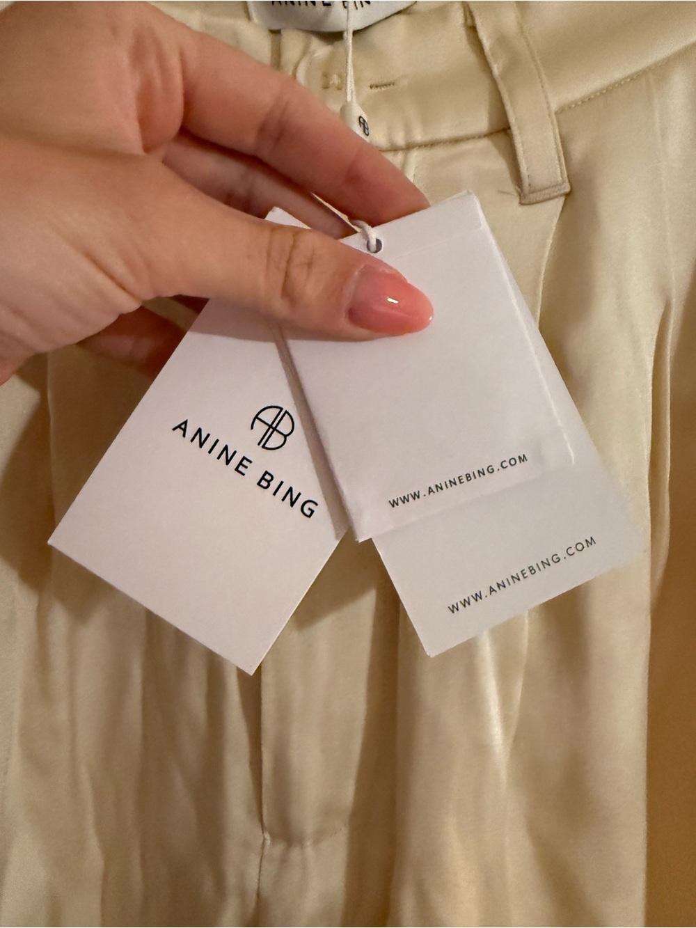 Anine Bing Carrie Pant - Picture 4 of 4